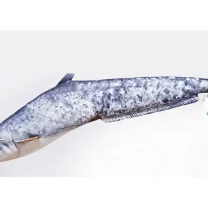 Gaby Polštář Sumec Malý - 62 cm Ihned K Objednání