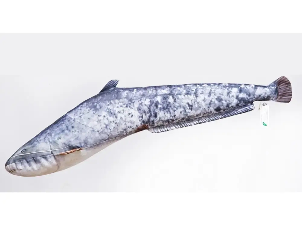 Gaby Polštář Sumec Malý - 62 cm Ihned K Objednání