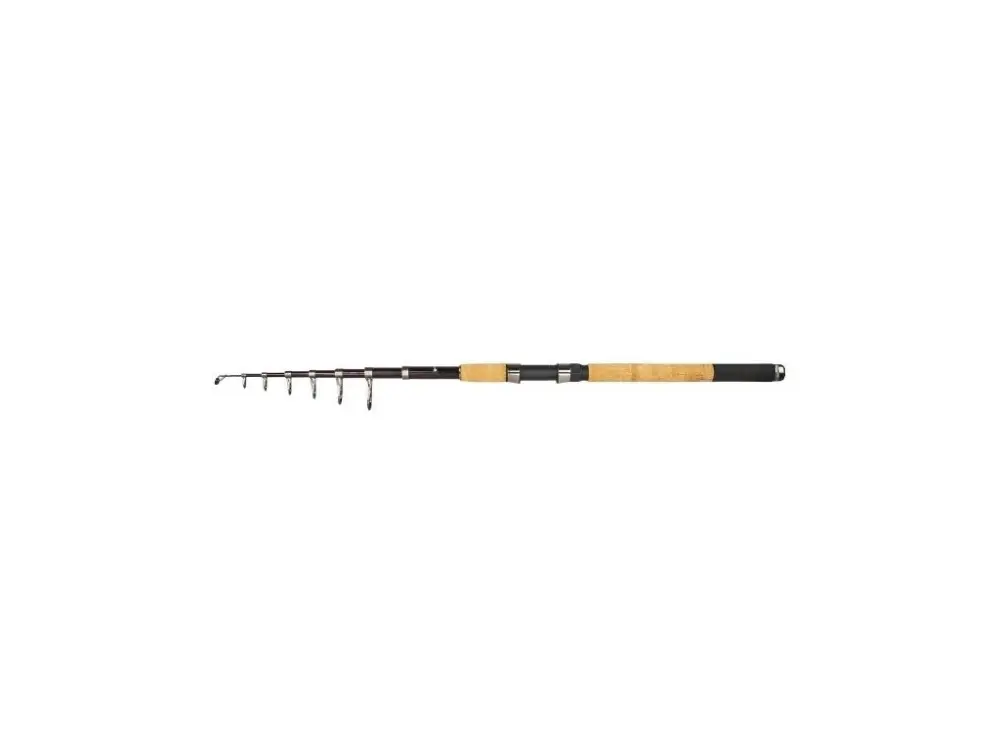 Albastar Prut Tele Shark Pro 2,4m 40-80g 6-díl Sezónní Sleva