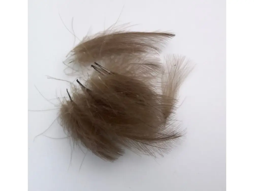 Hends CDC Peří Feathers Nature Brown Objednat Nyní