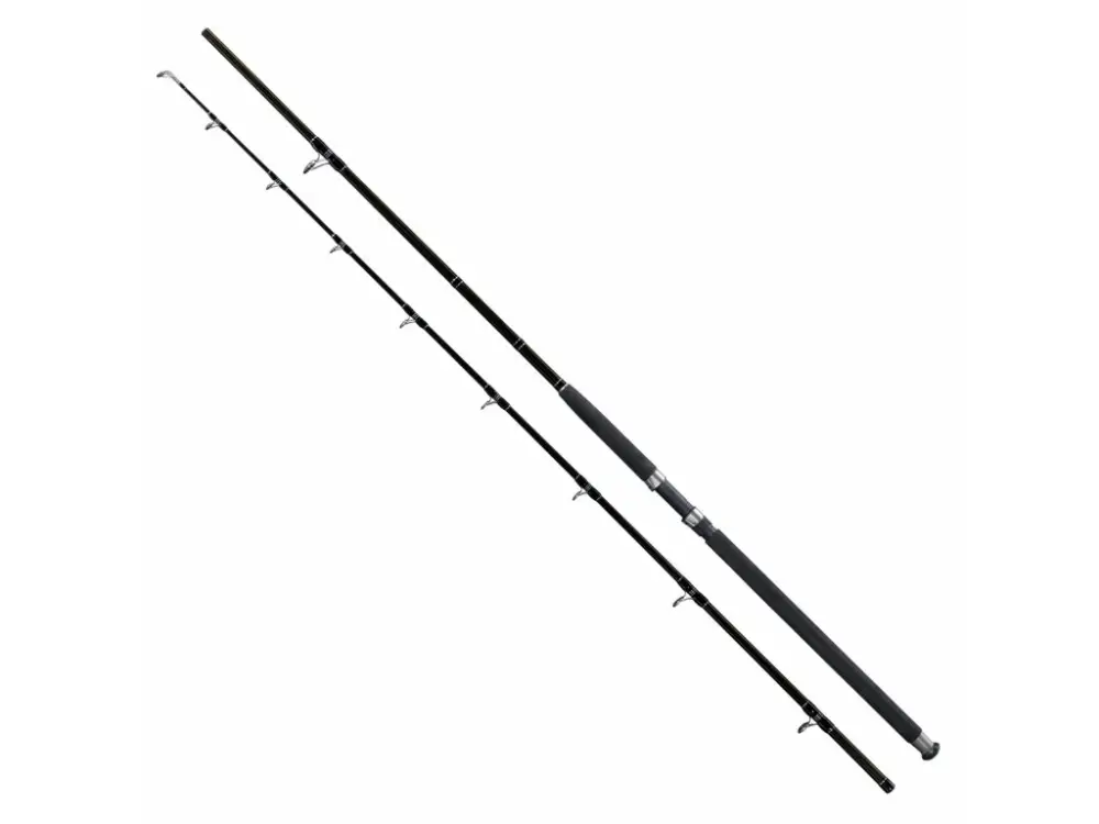 Giants Fishing Prut Deluxe Catfish 2,7m 500g 2-díl Tovární Cena