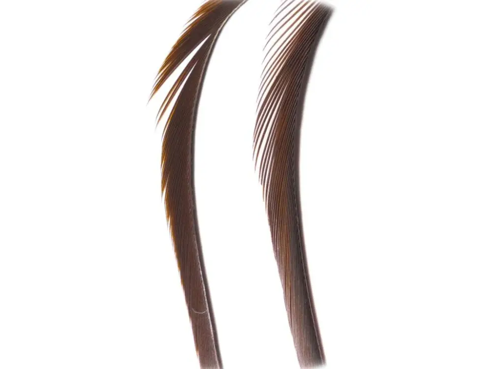 Výprodej Veniard Husí Biots Goose Biot Strips Dark Brown