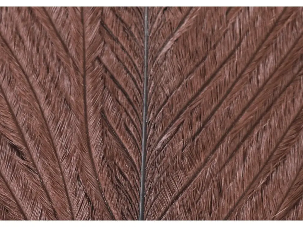 Sleva Veniard Pštrosí Peří Ostrich Herl Dark Brown