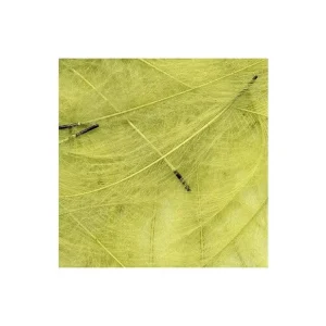 Must-Have Petitjean CDC Peří Packs Dirty Yellow 1g