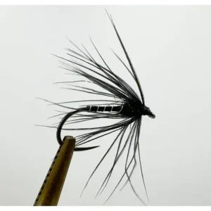 AZ-Fishing Mokrá Muška Black Spider Odeslání Ihned
