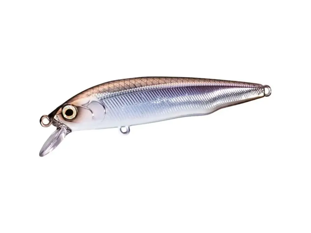 Shimano Wobler Cardiff Flügel Flat Floating Pond Smelt Jen Po Omezenou Doba