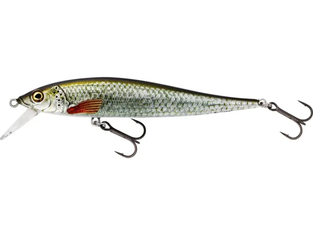 Westin Wobler Jerkbite SR Jerkbait Suspending Real Roach Nejprodávanější