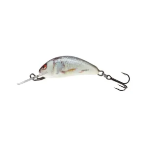 Finální Výprodej Salmo Wobler Hornet Floating Real Dace 3,5cm 2,2g 1m