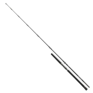 Ihned K Objednání Daiwa Prut Saltiga Stick'N Pop 2,5m 80-125g 1+1-díl