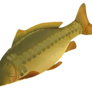 NGT Polštář Kapr 70cm Cenová Bomba