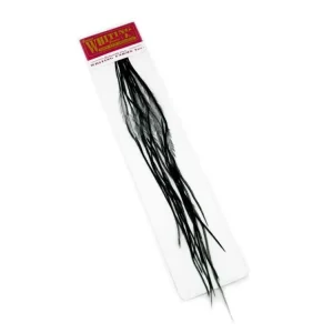 Finální Výprodej Whiting Kohoutí Peří 100 Pk Black #18