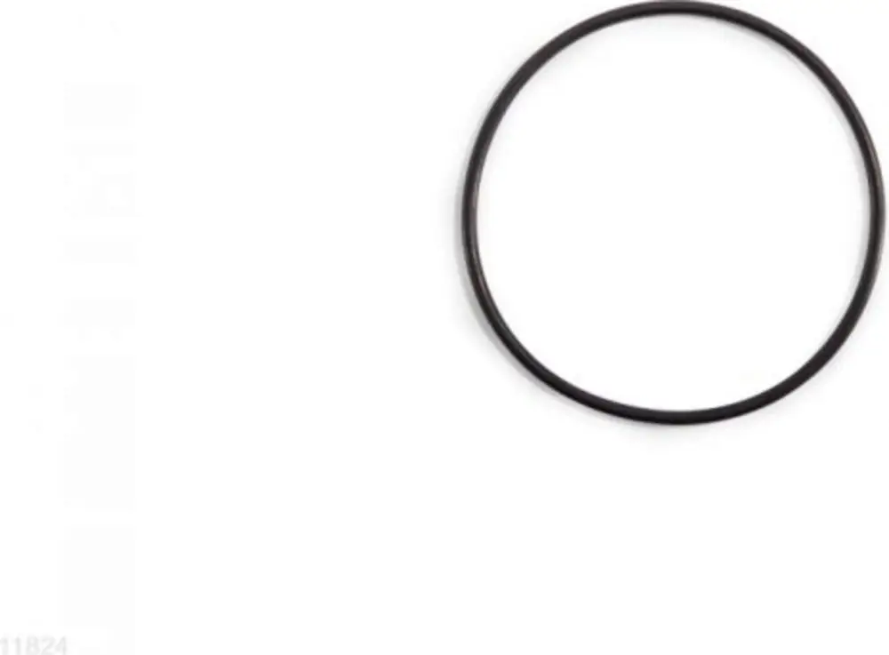 Náhradní díly Intex Těsnění víka předfiltru Ø 118 x 4 mm Bezpečná Platba