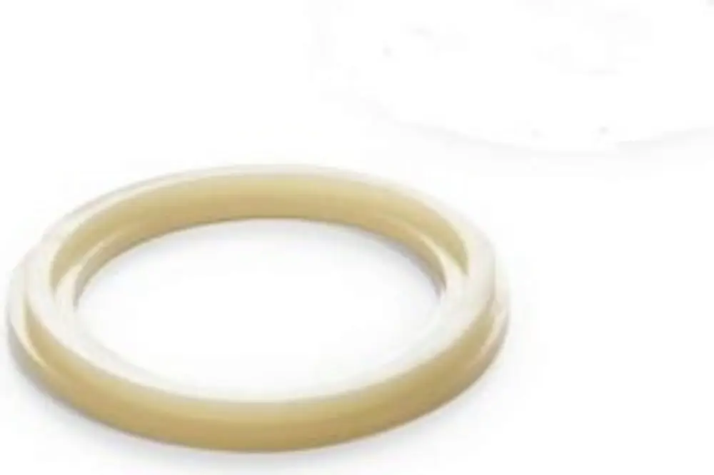 Náhradní díly Intex Gumová podložka pro filtrační ventil Kup Teď